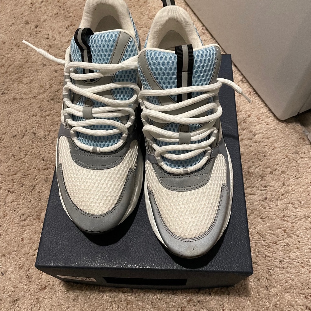 Dior b22